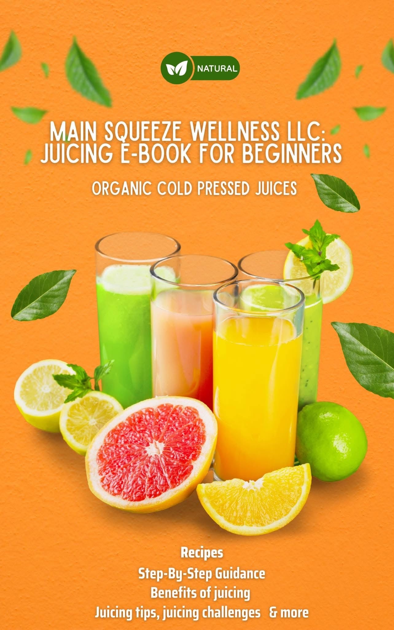 Main Squeeze Wellness LLC: Juicing E-Book for Beginners